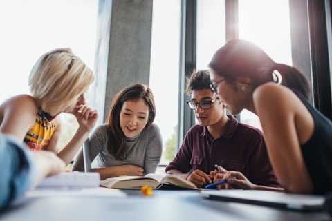 Students studying 