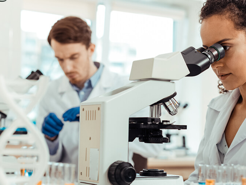 Researcher development and training