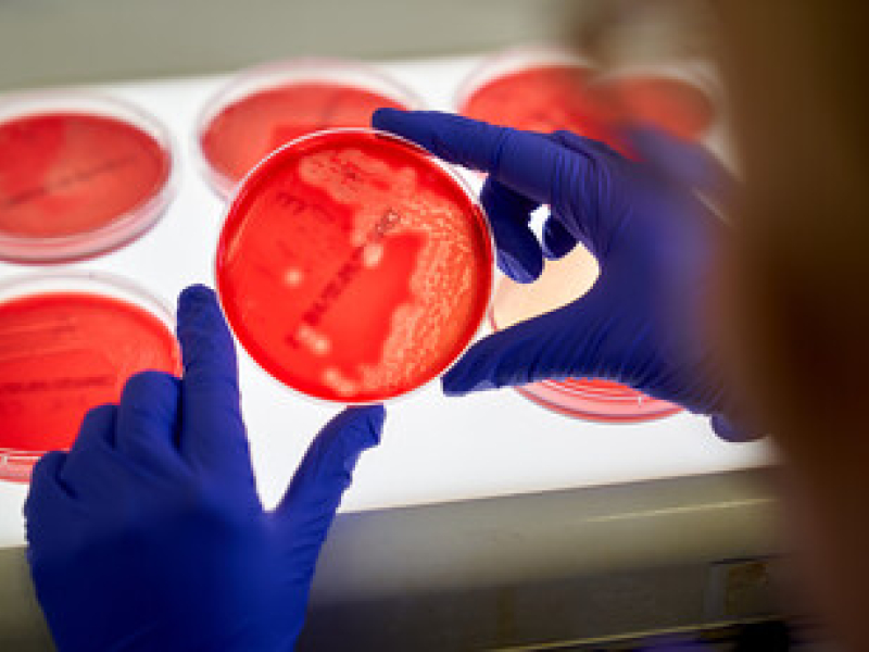 Translational Medicine Research
