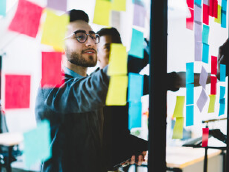 Executive development