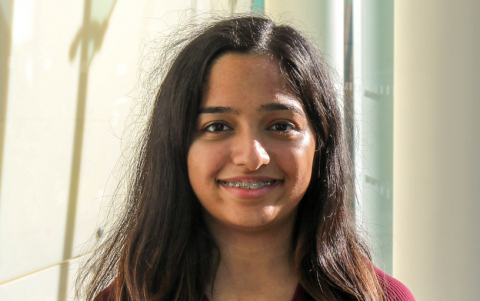 meha bhindi placement image