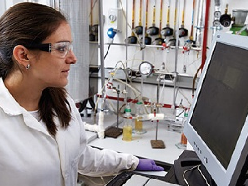 PhD opportunities