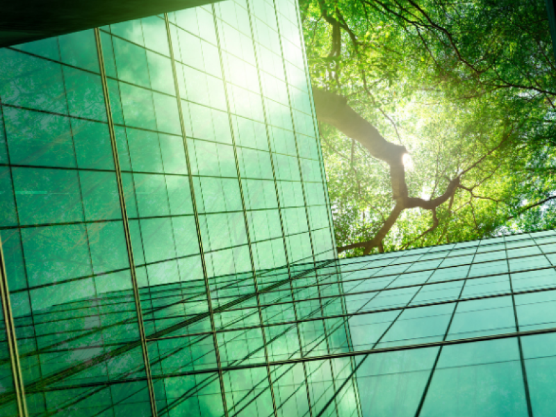 Decarbonisation Net Zero Programme