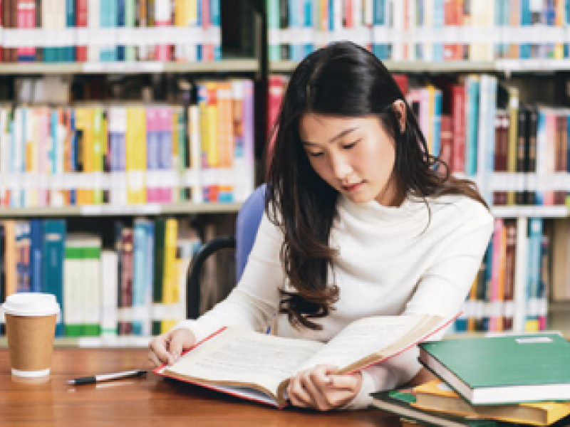 International scholarships