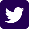 Twitter Icon